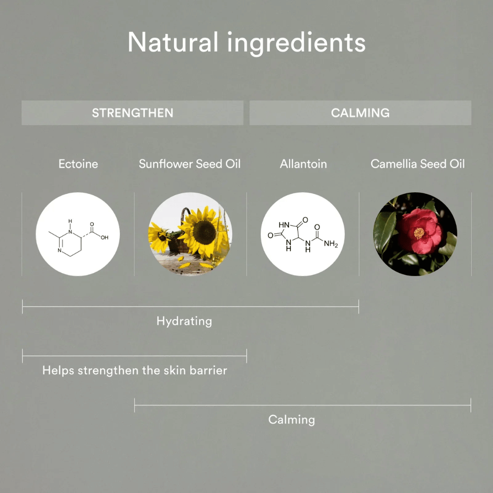 Bildet viser naturlige ingredienser som styrker og beroliger huden: Ectoin og solsikkefrøolje bidrar til å fukte og styrke hudbarrieren, mens allantoin og kameliafrøolje beroliger og beskytter sensitiv hud.