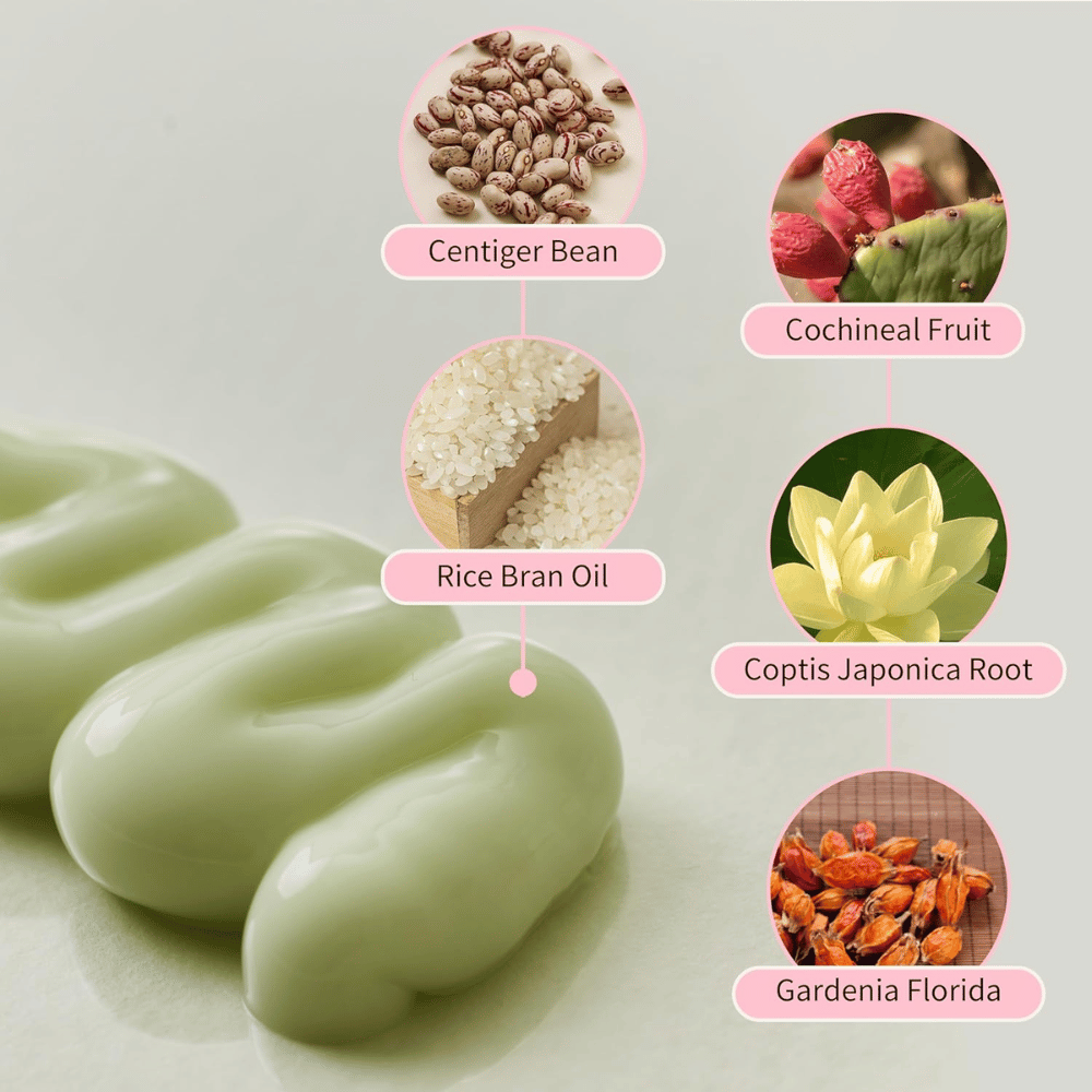 Beauty of Joseon Jello Skin Massage Cream med niacinamid, riskliolje, gardenia, coptis japonica og planteekstrakter for hydrert hud.