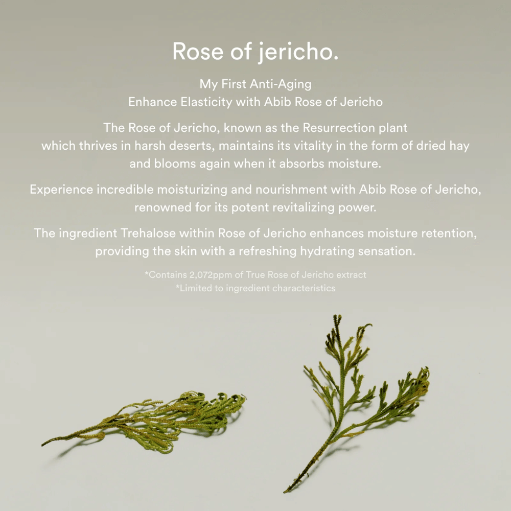 Informasjonsbilde om Rose of Jericho-ekstrakt som beskriver plantens fuktighetsgivende og revitaliserende egenskaper for huden.
