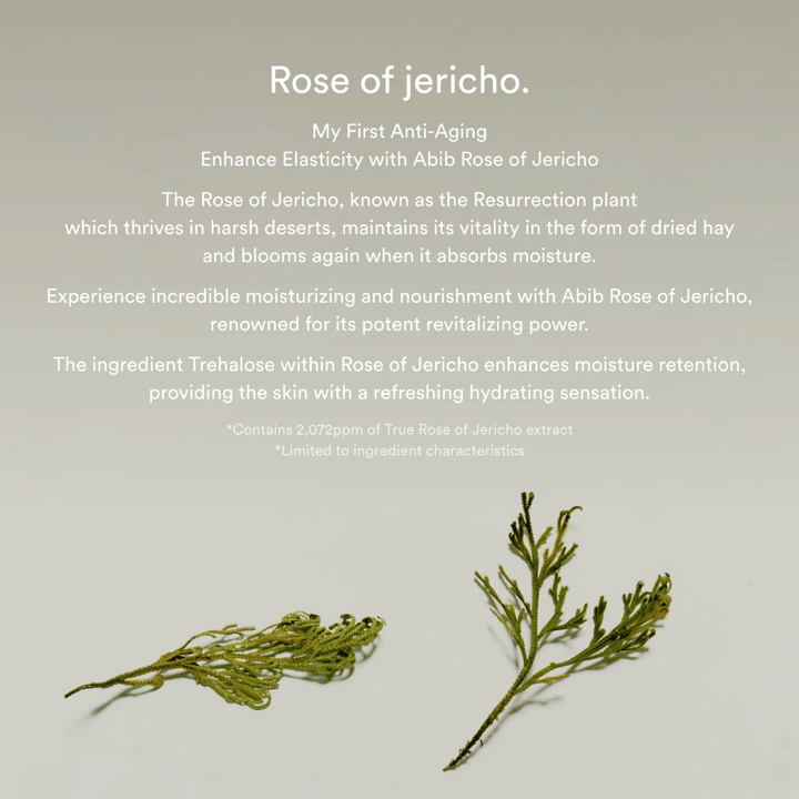 Informasjonsbilde om Rose of Jericho-ekstrakt som beskriver plantens fuktighetsgivende og revitaliserende egenskaper for huden.