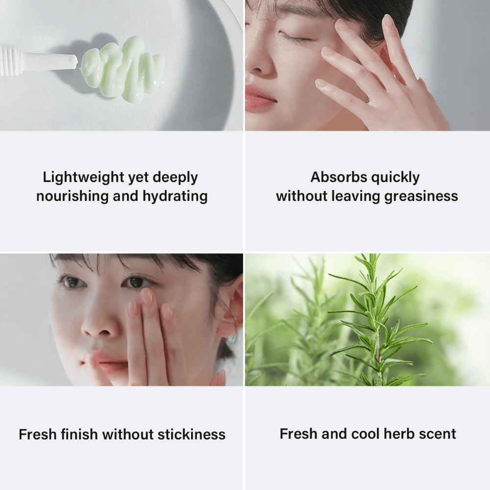 Fire bilder som viser fordelene med et hudpleieprodukt. Øverst til venstre vises en grønn krem på en børste, med teksten "Lightweight yet deeply nourishing and hydrating." Øverst til høyre, en kvinne som påfører produktet, med teksten "Absorbs quickly without leaving greasiness." Nederst til venstre, en kvinne som masserer inn produktet, med teksten "Fresh finish without stickiness." Nederst til høyre vises et bilde av rosmarin med teksten "Fresh and cool herb scent."
