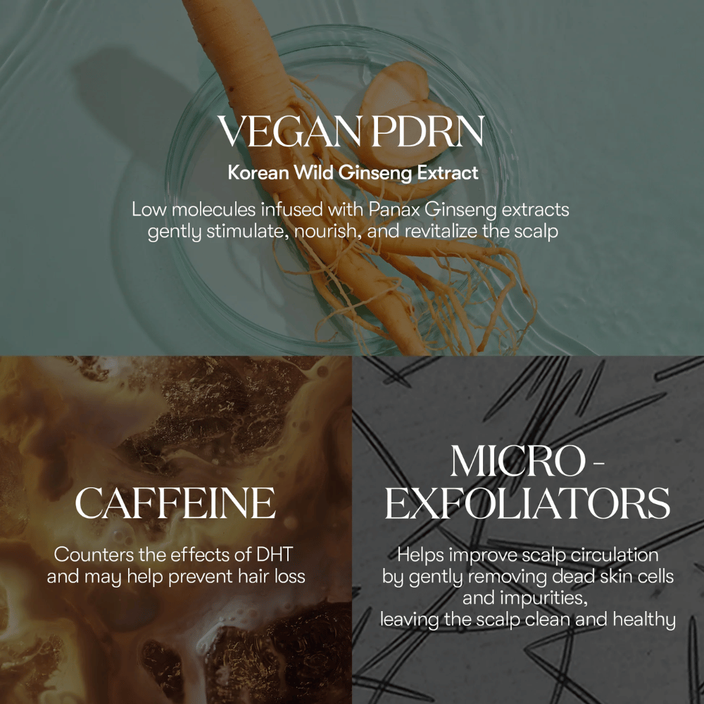 Illustrasjon av aktive ingredienser i PDRN Reedle Shot Hair Ampoule 100dL med vegansk PDRN fra koreansk vill ginseng, koffein og mikroeksfolianter som pleier og revitaliserer hodebunnen.
