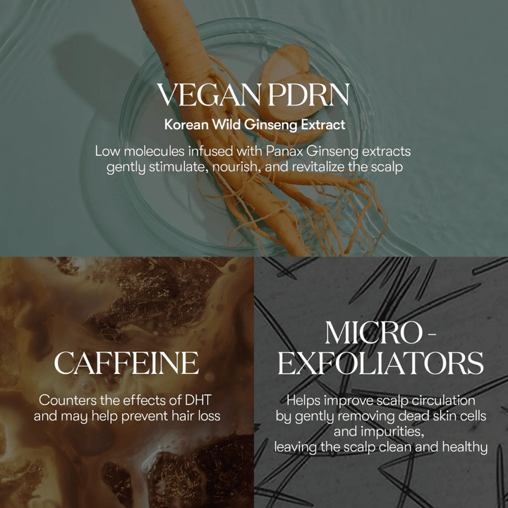 Illustrasjon av aktive ingredienser i PDRN Reedle Shot Hair Ampoule 100dL med vegansk PDRN fra koreansk vill ginseng, koffein og mikroeksfolianter som pleier og revitaliserer hodebunnen.