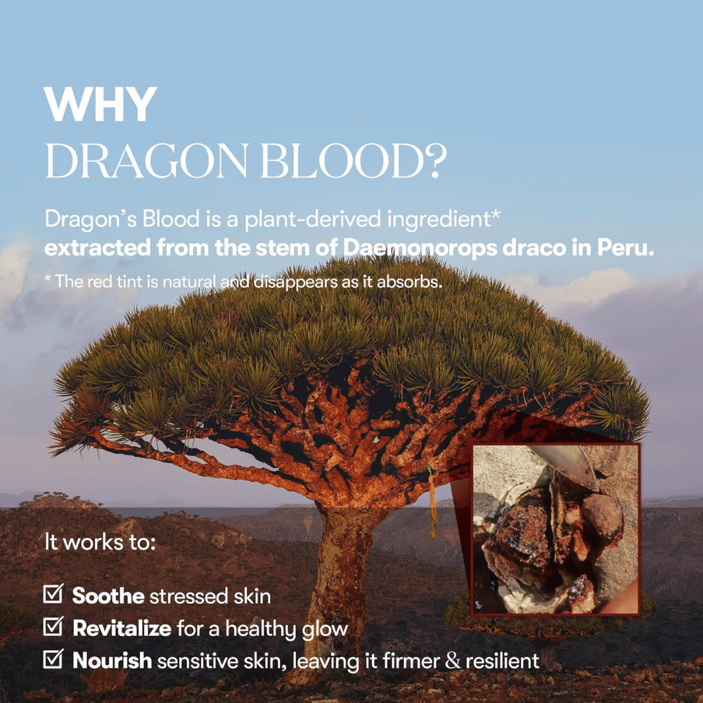 Illustrasjon av Dragon’s Blood-treet (Daemonorops draco) i Peru, ingrediens i VT Red Booster Reedle Shot 100 som beroliger stresset hud, styrker hudbarrieren og gir en frisk glød.