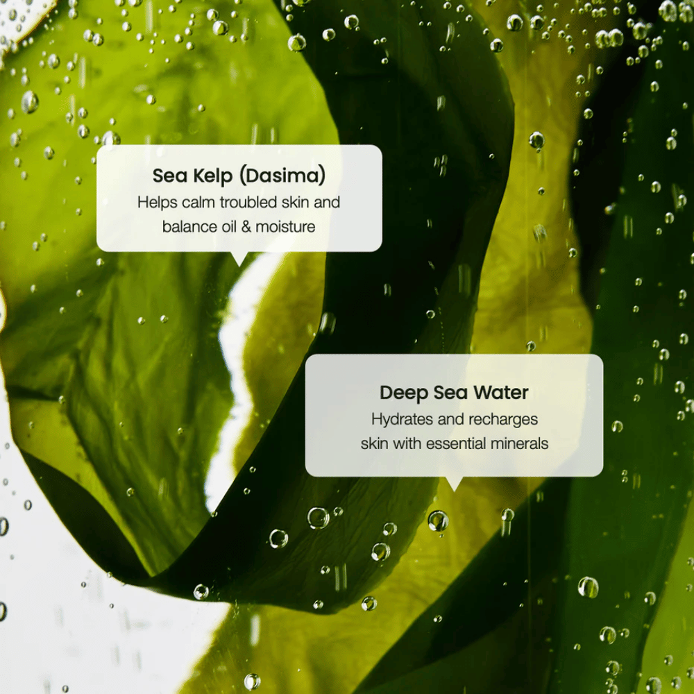 Tareekstrakt og dyphavsvann i Biodance Refreshing Sea Kelp Serum – fukter og balanserer huden.