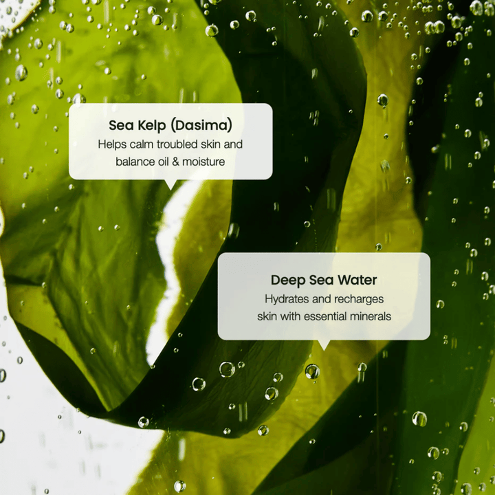 Tareekstrakt og dyphavsvann i Biodance Refreshing Sea Kelp Serum – fukter og balanserer huden.